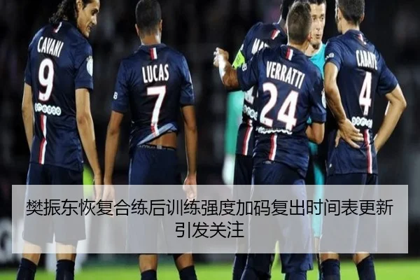 樊振东恢复合练后训练强度加码复出时间表更新引发关注